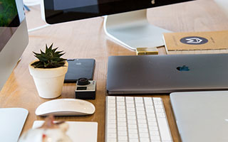 杜鹃花商贸服务部为未央区商贸服务注入活力与温度